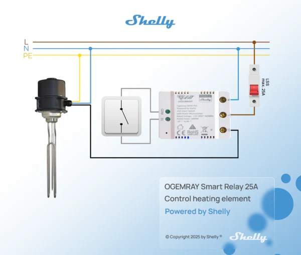 Shelly Ogemray Relay - Image 2