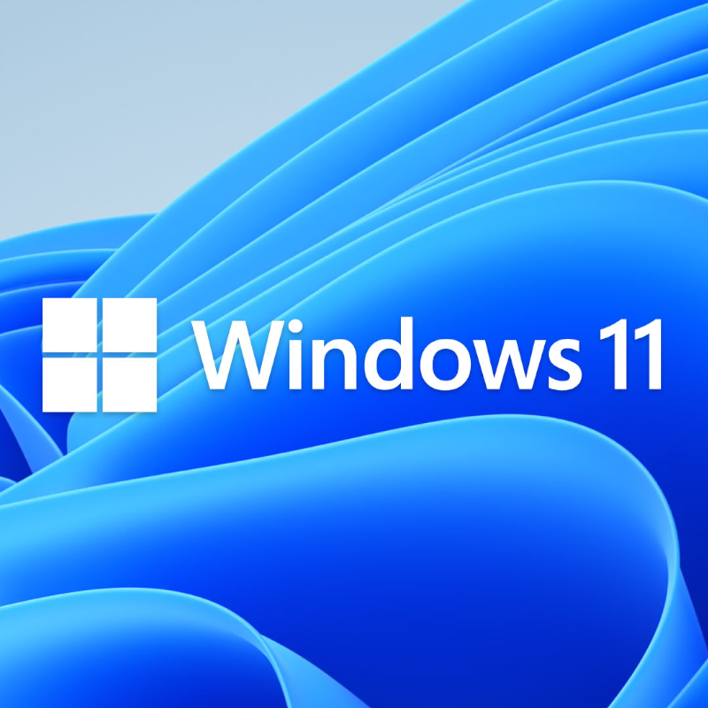 FQC-10528_wr_02 MICROSOFT WIN 11 PRO 64BIT DSP